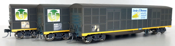 NLBF-02